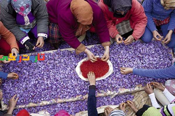 زعفران, زعفران چیست, خواص زعفران, مضرات زعفران, طبع زعفران, زعفران ایران, نام دیگر زعفران زعفران, زعفران چیست, خواص زعفران, مضرات زعفران, طبع زعفران, زعفران ایران, نام دیگر زعفران