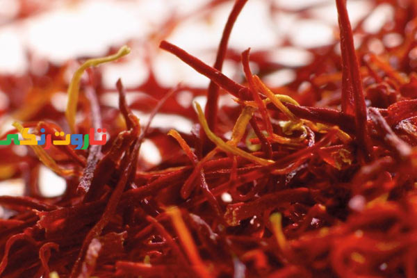 زعفران, زعفران چیست, خواص زعفران, مضرات زعفران, طبع زعفران, زعفران ایران, نام دیگر زعفران زعفران, زعفران چیست, خواص زعفران, مضرات زعفران, طبع زعفران, زعفران ایران, نام دیگر زعفران