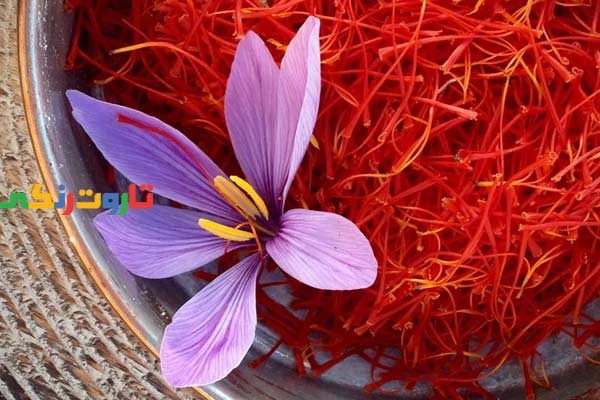 زعفران, زعفران چیست, خواص زعفران, مضرات زعفران, طبع زعفران, زعفران ایران, نام دیگر زعفران زعفران, زعفران چیست, خواص زعفران, مضرات زعفران, طبع زعفران, زعفران ایران, نام دیگر زعفران