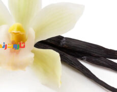 وانیل و هر آنچه که باید درباره آن بدانید!