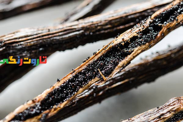 وانیل, خواص وانیل, مضرات وانیل, وانیل و لاغری, طعم وانیل تلخ است, مصرف زیاد وانیل, طریقه مصرف وانیل, وانیل مایع بهتره یا پودری, وانیل ایرانی, عکس وانیل