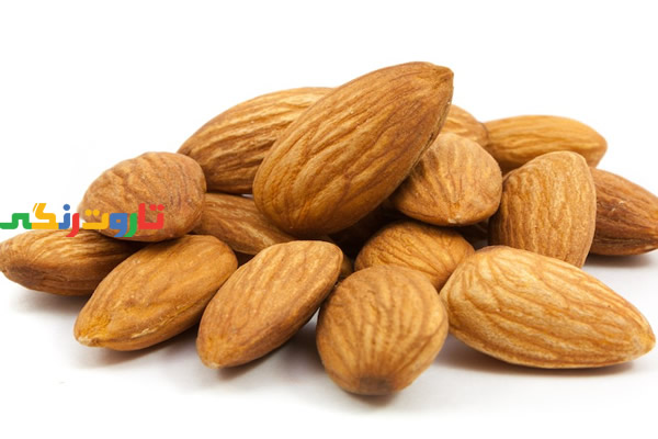 بادام, خواص بادام, مضرات بادام, طبع بادام, خواص بادام برای پوست, خواص بادام برای مو, خواص بادام برای لاغری, خواص بادام برای کودکان, خواص بادام برای معده بادام, خواص بادام, مضرات بادام, طبع بادام, خواص بادام برای پوست, خواص بادام برای مو, خواص بادام برای لاغری, خواص بادام برای کودکان, خواص بادام برای معده