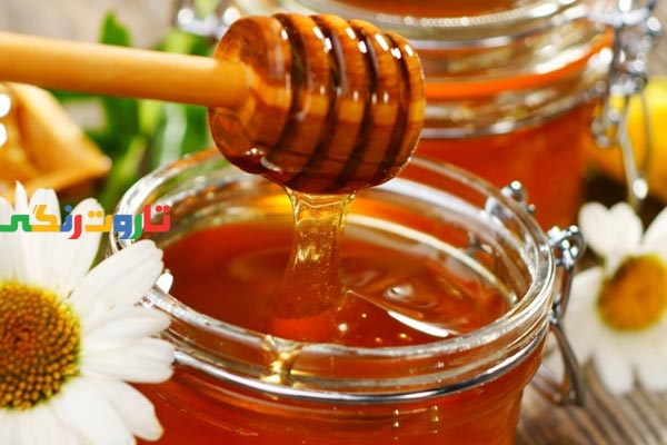 عسل, خواص عسل, مضرات عسل, طبع عسل, خواص عسل و دارچین, خواص عسل برای معده, خواص عسل برای پوست, خواص عسل برای کودکان عسل, خواص عسل, مضرات عسل, طبع عسل, خواص عسل و دارچین, خواص عسل برای معده, خواص عسل برای پوست, خواص عسل برای کودکان