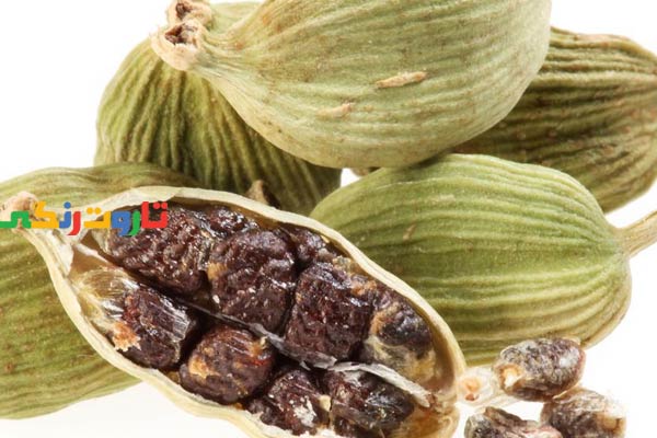 هل, خواص هل, مضرات هل, طبع هل, هل سیاه, هل سفید, طریقه مصرف هل, طرز تهیه دمنوش هل, خواص دمنوش هل, خواص هل برای لاغری, خواص چای هل و دارچین, کاشت گیاه هل, ضررهای هل سبز, خواص هل سبز برای لاغری