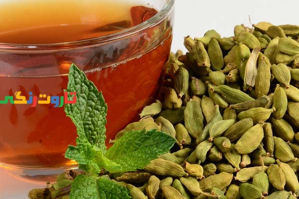 هل, خواص هل, مضرات هل, طبع هل, هل سیاه, هل سفید, طریقه مصرف هل, طرز تهیه دمنوش هل, خواص دمنوش هل, خواص هل برای لاغری, خواص چای هل و دارچین, کاشت گیاه هل, ضررهای هل سبز, خواص هل سبز برای لاغری