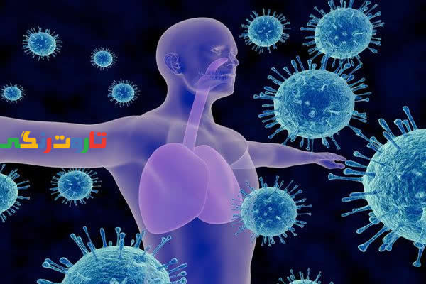 تقویت سیستم ایمنی بدن, قرص تقویت سیستم ایمنی بدن, معجون تقویت سیستم ایمنی بدن, چگونه سیستم دفاعی بدن خود را بالا ببریم, راههای تقویت بنیه بدن, تقویت سیستم ایمنی بدن با طب سنتی, ویتامین برای بالا بردن ایمنی بدن, تقویت سیستم ایمنی بدن کودکان, چگونه سیستم ایمنی را تقویت کنیم