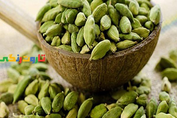 هل, خواص هل, مضرات هل, طبع هل, هل سیاه, هل سفید, طریقه مصرف هل, طرز تهیه دمنوش هل, خواص دمنوش هل, خواص هل برای لاغری, خواص چای هل و دارچین, کاشت گیاه هل, ضررهای هل سبز, خواص هل سبز برای لاغری