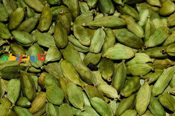 هل, خواص هل, مضرات هل, طبع هل, هل سیاه, هل سفید, طریقه مصرف هل, طرز تهیه دمنوش هل, خواص دمنوش هل, خواص هل برای لاغری, خواص چای هل و دارچین, کاشت گیاه هل, ضررهای هل سبز, خواص هل سبز برای لاغری