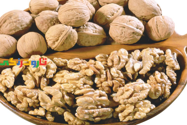 گردو, خواص گردو, مضرات گردو, طبع گردو, خواص گردو با عسل, خواص گردو برای جنین, خواص گردو برای کبد, خواص گردو برای کودکان, خواص گردو برای پوست, خواص گردو برای مو, خواص گردو برای مغز