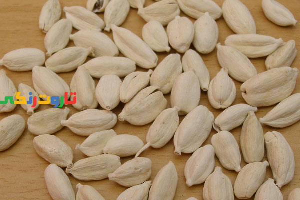 هل, خواص هل, مضرات هل, طبع هل, هل سیاه, هل سفید, طریقه مصرف هل, طرز تهیه دمنوش هل, خواص دمنوش هل, خواص هل برای لاغری, خواص چای هل و دارچین, کاشت گیاه هل, ضررهای هل سبز, خواص هل سبز برای لاغری