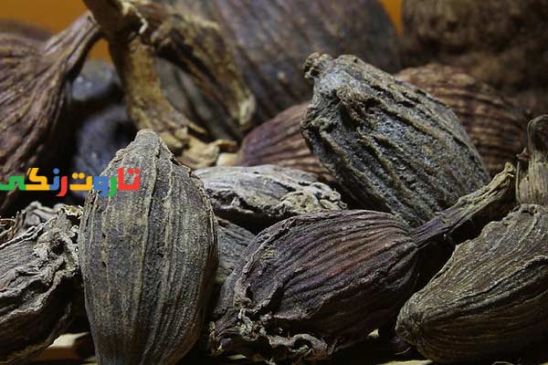 هل, خواص هل, مضرات هل, طبع هل, هل سیاه, هل سفید, طریقه مصرف هل, طرز تهیه دمنوش هل, خواص دمنوش هل, خواص هل برای لاغری, خواص چای هل و دارچین, کاشت گیاه هل, ضررهای هل سبز, خواص هل سبز برای لاغری