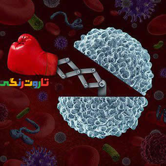 فواید پروبیوتیک ها