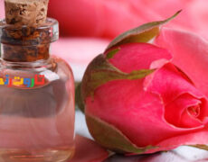 خواص گلاب | فواید، مضرات، طبع و کاربردهای گلاب برای پوست، مو و سلامتی خواص گلاب | فواید، مضرات، طبع و کاربردهای گلاب برای پوست، مو و سلامتی