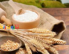 آرد گندم و هرآنچه که باید درباره آن بدانید!