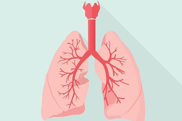برونشیت چیست