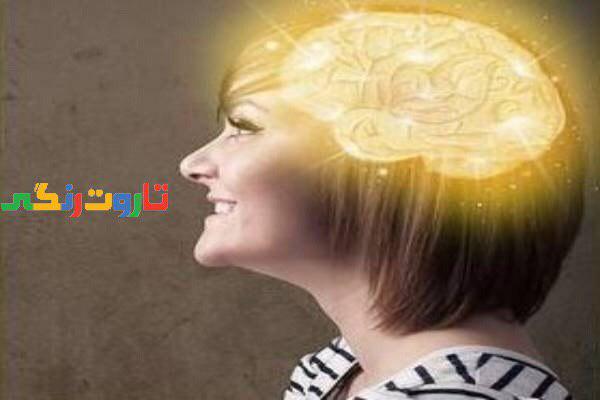 تقویت حافظه, حافظه, خوراکی تقویت حافظه, تمرینهای تقویت حافظه, برای تقویت حافظه چه بخوریم, تقویت حافظه برای درس خواندن, تقویت حافظه در طب سنتی, تقویت حافظه دارو, تقویت حافظه با گیاهان دارویی, تقویت مغز