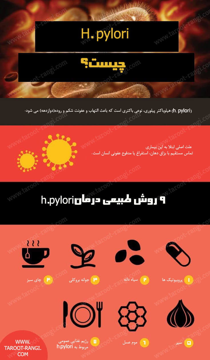 هلیکوباکتر پیلوری