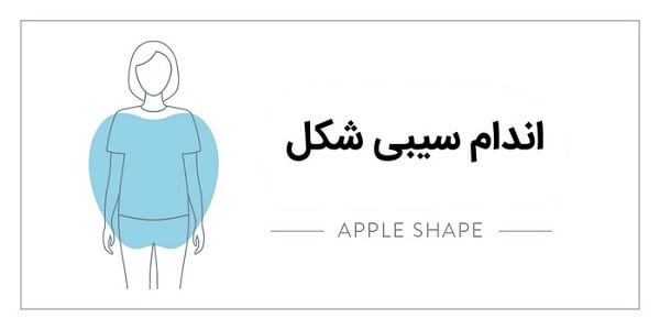 اندام سیبی شکل (بیضی شکل)