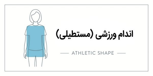 اندام راسته و استخوانی (مستطیلی)