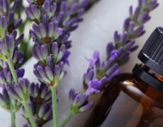 خواص روغن اسطوخودوس و کاربردهای آن در خانه