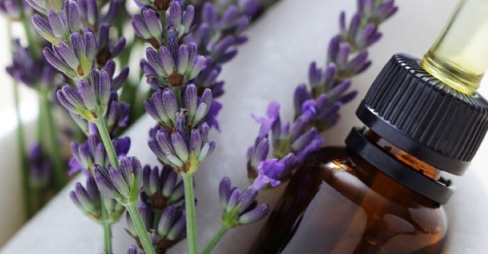 خواص روغن اسطوخودوس