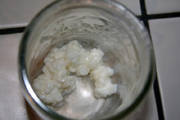 طرز تهیه کفیر در خانه