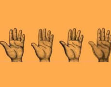 انواع شست و خصوصیات آنها