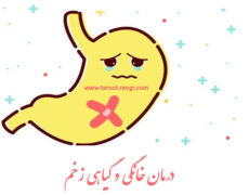 درمان های خانگی و گیاهی برای زخم معده درمان های خانگی و گیاهی برای زخم معده