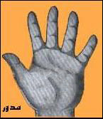 شکل کف دست مدور