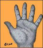 شکل کف دست مربع