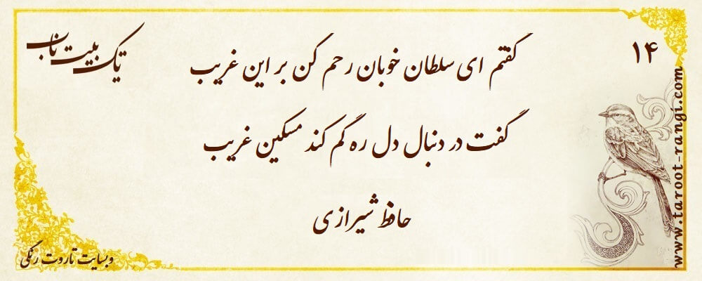 گفتم ای سلطان خوبان رحم کن بر این غریب