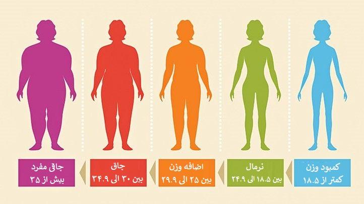 ⚕️ محاسبه شاخص توده بدن به صورت کاملا آنلاین