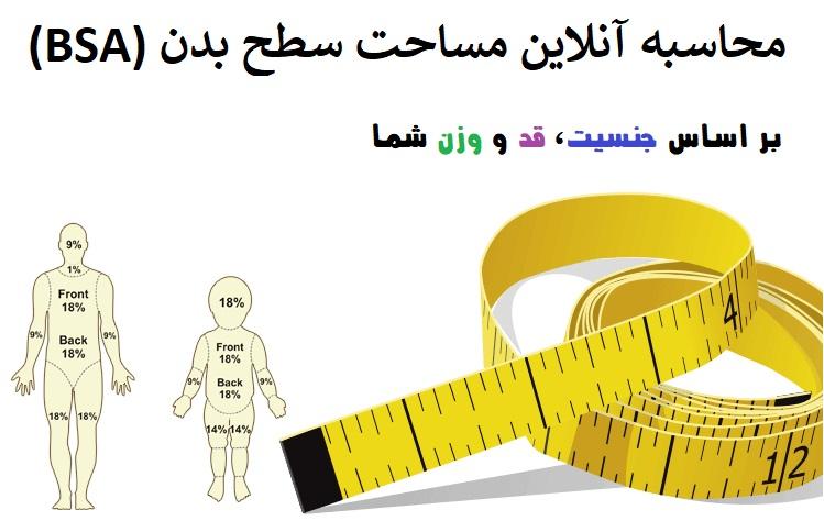 🙎‍♂️ مساحت سطح بدن (BSA) و محاسبه آنلاین میزان آن