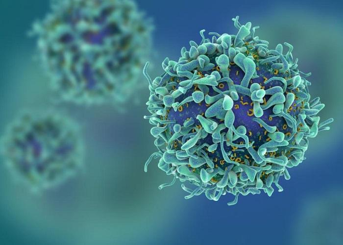 ویروس های مبارز