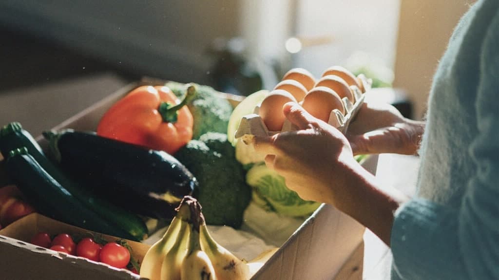 ویتامین  و هر آنچه که باید درباره آن بدانید!