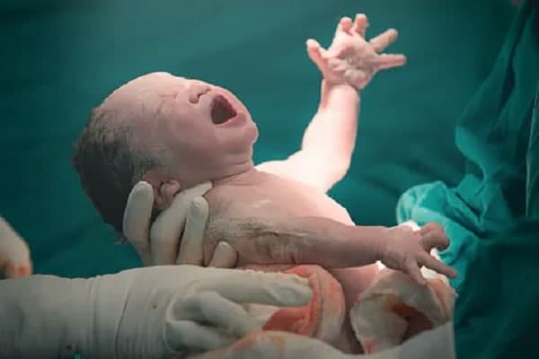 👶 تعبیر خواب زایمان از نظر معبران معروف و موضوعات مختلف