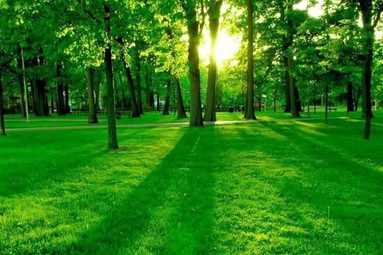 سفر به اقلیمهای مختلف ایران