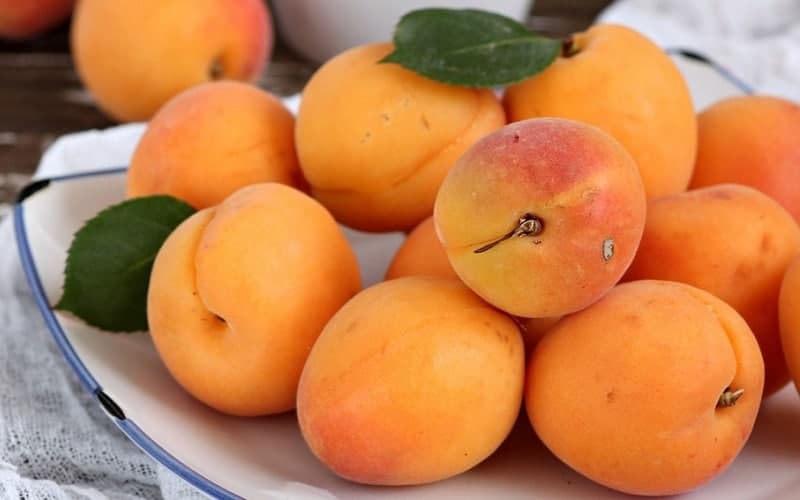 🍑 تعبیر خواب زردآلو از نظر معبران معروف و موضوعات مختلف