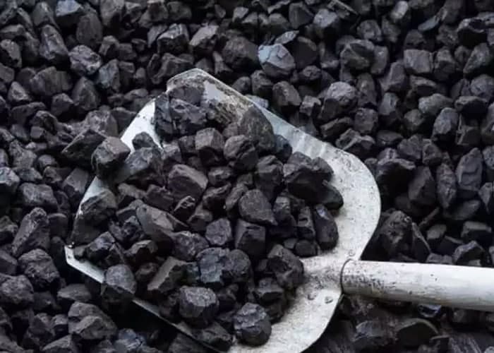 ⛏️ تعبیر خواب زغال از نظر معبران معروف و موضوعات مختلف