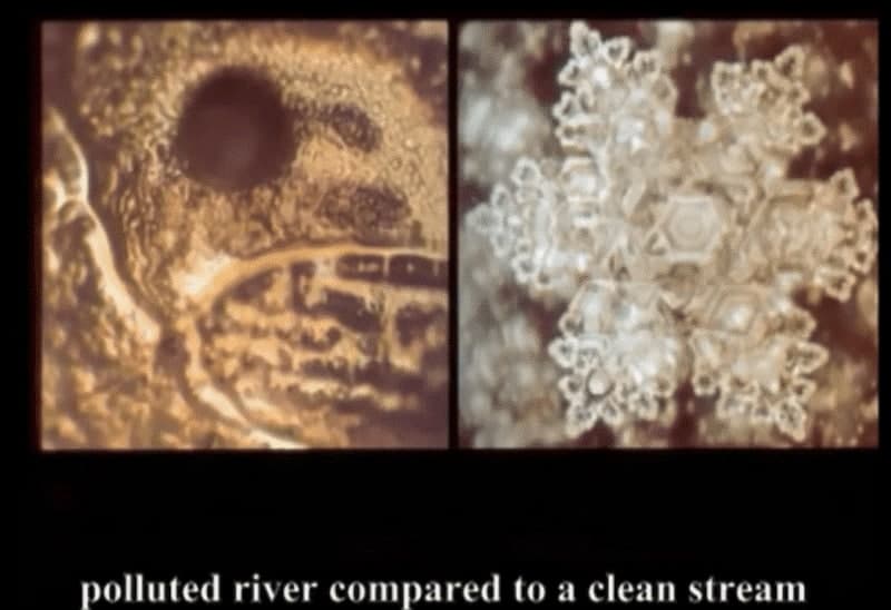 آزمایش آب دکتر ایموتو