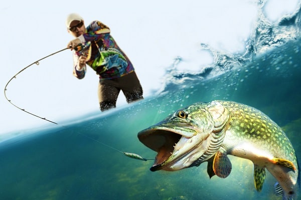 🎣 تعبیر خواب ماهیگیری و صید از نظر معبران معروف و موضوعات مختلف