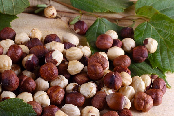 🌰 تعبیر خواب فندق از نظر معبران معروف و موضوعات مختلف