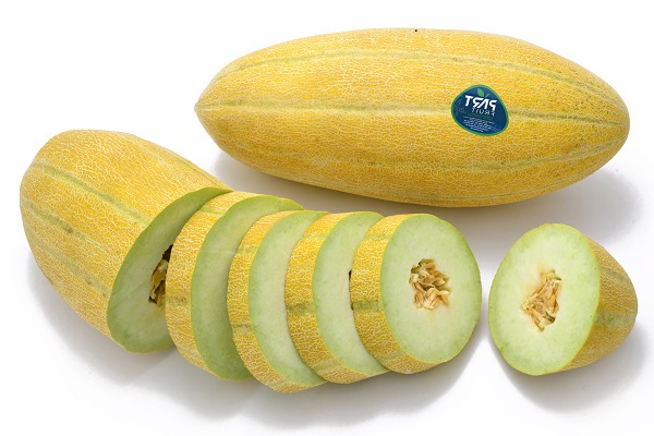 🍈 تعبیر خواب خربزه از نظر معبران معروف و موضوعات مختلف 🍈 تعبیر خواب خربزه از نظر معبران معروف و موضوعات مختلف