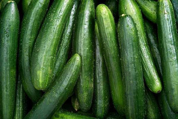 🥒 تعبیر خواب خیار از نظر معبران معروف و موضوعات مختلف 🥒 تعبیر خواب خیار از نظر معبران معروف و موضوعات مختلف