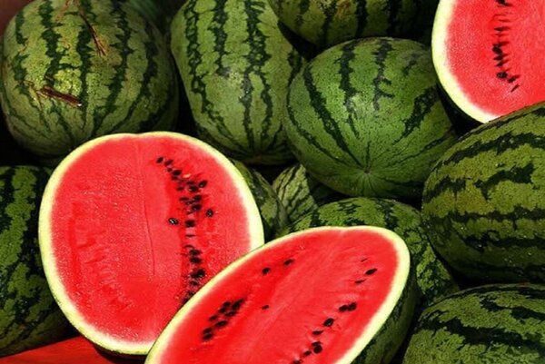 🍉 تعبیر خواب هندوانه از نظر معبران معروف و موضوعات مختلف