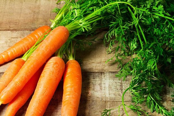 🥕 تعبیر خواب هویج از نظر معبران معروف و موضوعات مختلف