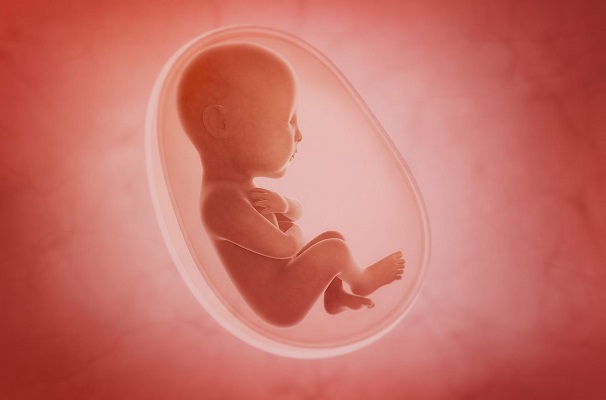 👶 تعبیر خواب جنین از نظر معبران معروف و موضوعات مختلف