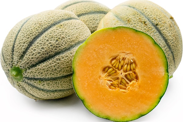 🍈 تعبیر خواب طالبی از نظر معبران معروف و موضوعات مختلف