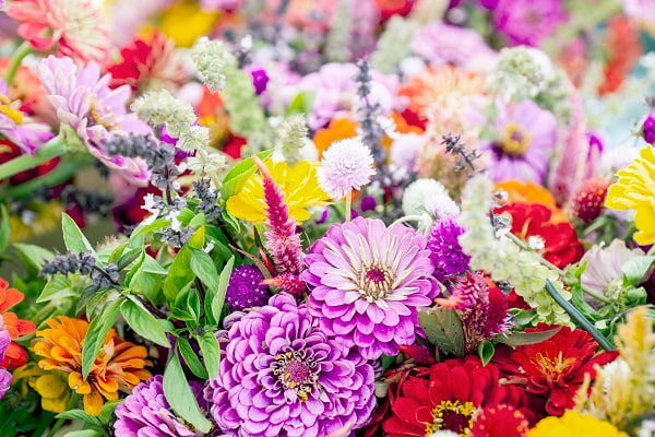 🌸 تعبیر خواب گل از نظر معبران معروف و موضوعات مختلف