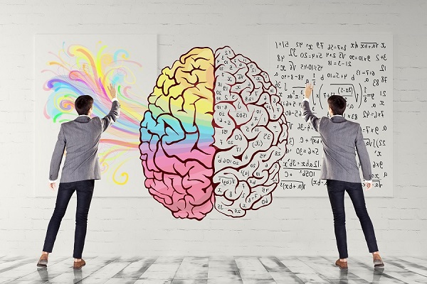 🧠 تست بررسی نیم کره فعال مغز